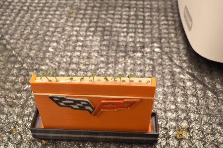 DSC_0146 - Copy (3).JPG