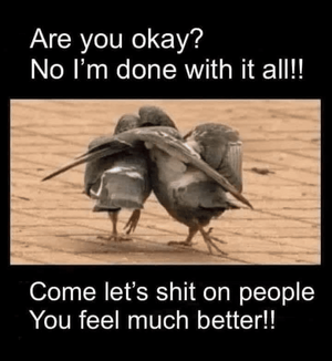 1770681124309.png