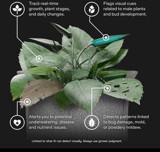 Screenshot 2026-02-11 150212.jpg