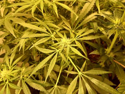 F5 (11).jpg