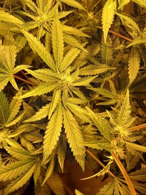 F5 (3).jpg