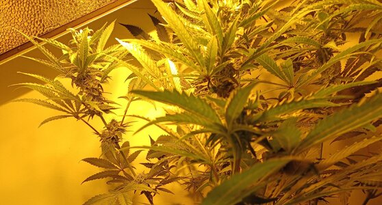 F5 (12).jpg