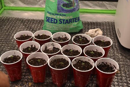 DSC_0151 - Copy (3).JPG DSC_0151 - Copy (3).JPG