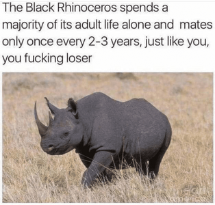 1771105837312.png