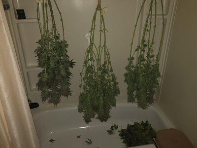 IMG_9083.jpeg IMG_9083.jpeg