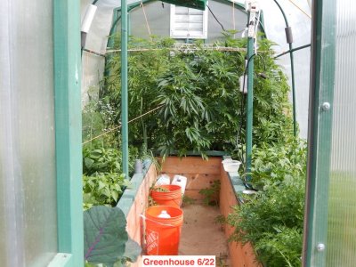 Greenhouse 6:22.jpeg