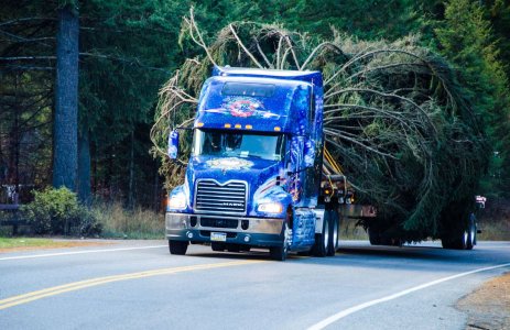 ovd.Mack-Pinnacle-hauling-Capitol-Christmas-tree.jpeg.jpg