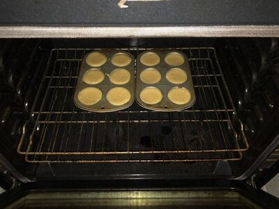 IMG_9140.jpeg