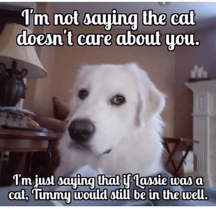 1771631310334.png