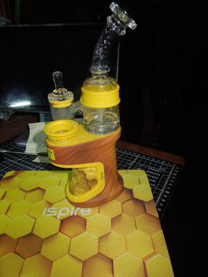 006.JPG