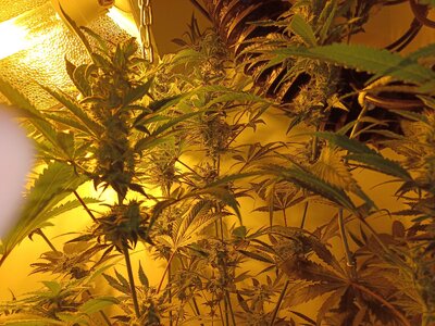 F6 (6).jpg F6 (6).jpg