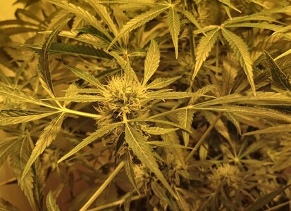 F6 (17).jpg F6 (17).jpg