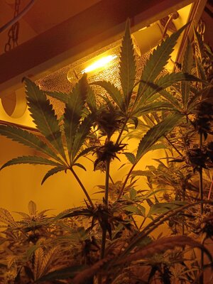 F6 (3).jpg F6 (3).jpg