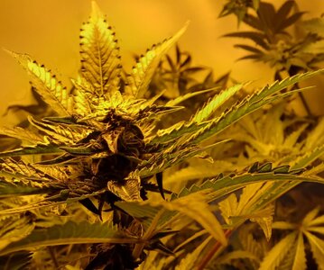 F6 (11).jpg F6 (11).jpg