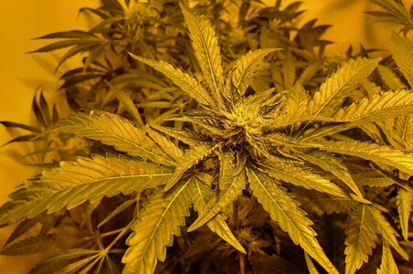 F6 (13).jpg F6 (13).jpg