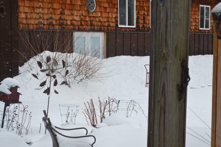DSC_0163.JPG