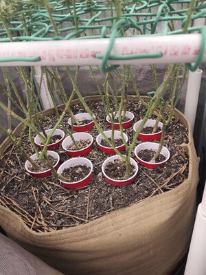 image000000(4).jpg