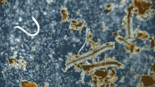 VID_0011 (1)_1_1.gif VID_0011 (1)_1_1.gif