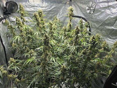 20260225_073343.jpg 20260225_073343.jpg