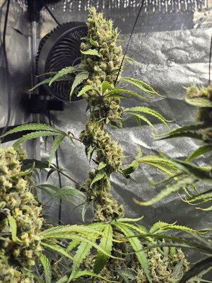 20260225_073707.jpg 20260225_073707.jpg