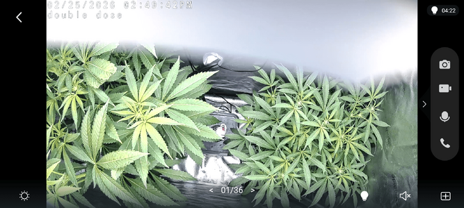 Screenshot_20260225-144945.png