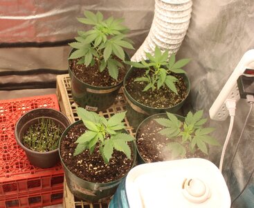 Feb 26 2 BBMC 2 BD.JPG Feb 26 2 BBMC 2 BD.JPG