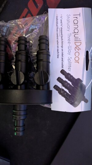 PXL_20260227_030637333.jpg PXL_20260227_030637333.jpg