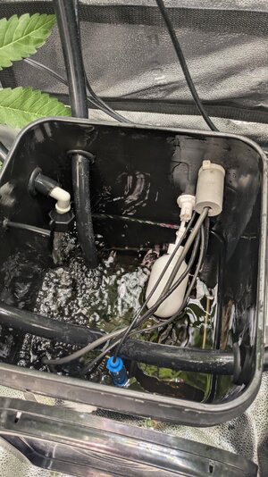 PXL_20260228_021603268.jpg PXL_20260228_021603268.jpg