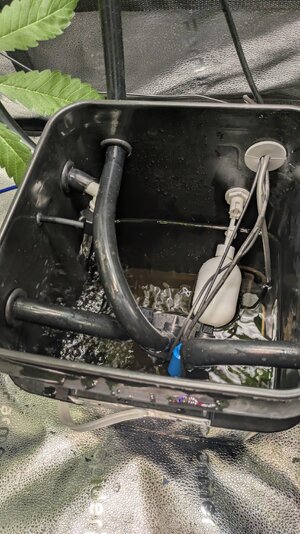 PXL_20260228_023123927.jpg PXL_20260228_023123927.jpg