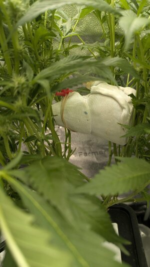 PXL_20260228_020926378.jpg PXL_20260228_020926378.jpg