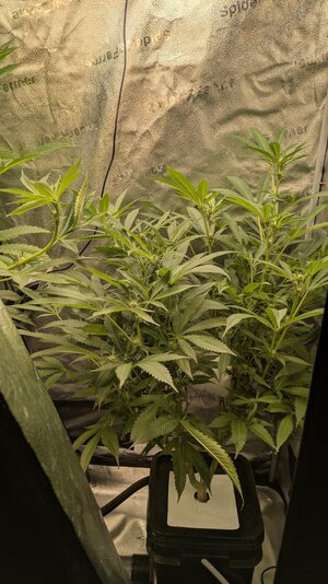 PXL_20260228_020932615.jpg PXL_20260228_020932615.jpg