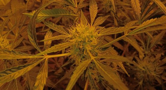 F7 (13).jpg F7 (13).jpg