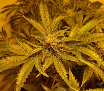 F7 (16).jpg F7 (16).jpg