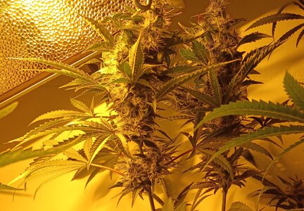 F7 (10).jpg F7 (10).jpg