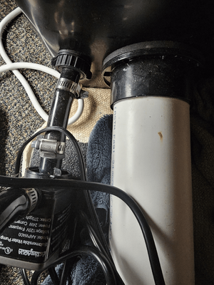 1772382130931.png 1772382130931.png