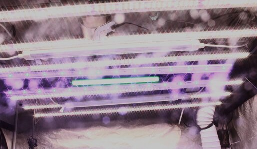 Mar 3 green centered.JPG Mar 3 green centered.JPG