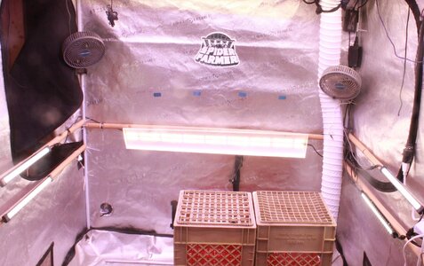 Mar 3 sf600 4sidelights.JPG Mar 3 sf600 4sidelights.JPG