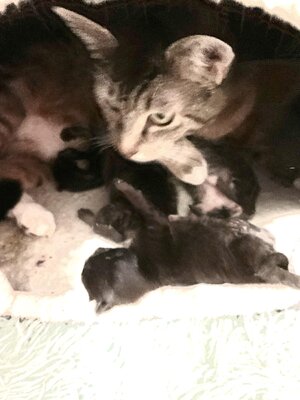 IMG_E7200.JPG IMG_E7200.JPG