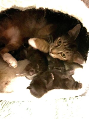 IMG_E7202.JPG IMG_E7202.JPG