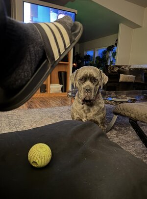 IMG_9205.jpeg