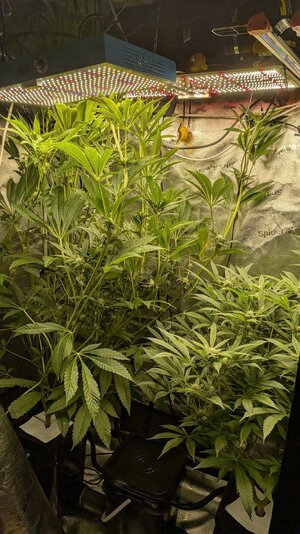 PXL_20260307_015802726.jpg PXL_20260307_015802726.jpg