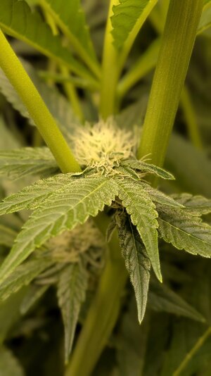 PXL_20260307_015837658.PORTRAIT.jpg PXL_20260307_015837658.PORTRAIT.jpg