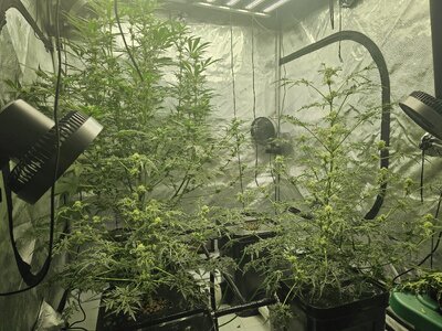 20260307_194035.jpg 20260307_194035.jpg