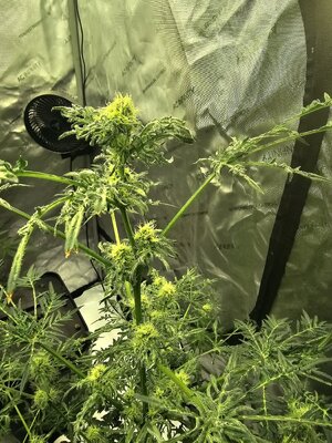 20260307_194048.jpg 20260307_194048.jpg