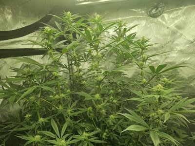 20260307_194103.jpg 20260307_194103.jpg