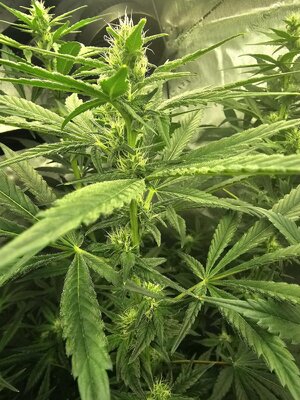 20260307_194137.jpg 20260307_194137.jpg