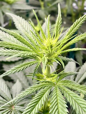 IMG_3802.jpeg IMG_3802.jpeg