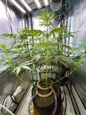 IMG_3804.jpeg IMG_3804.jpeg