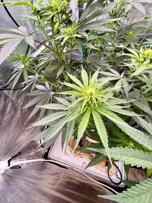 IMG_3836.jpeg