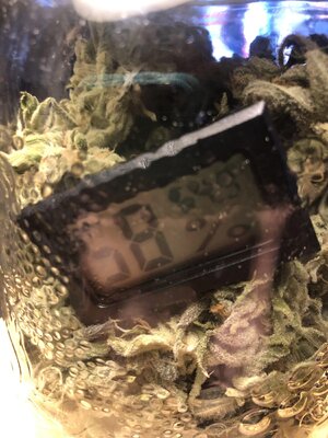 IMG_9285.jpeg IMG_9285.jpeg